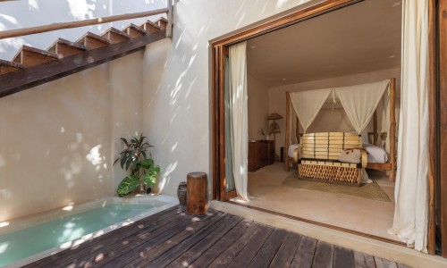 Jungle View Room